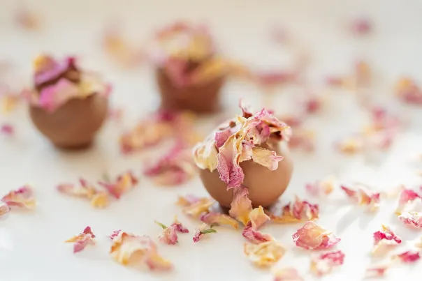 JokerBet Casino Application Android/iOS